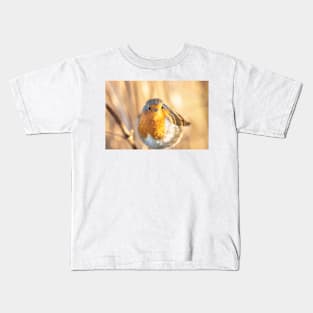 Robin portrait in golden light Kids T-Shirt